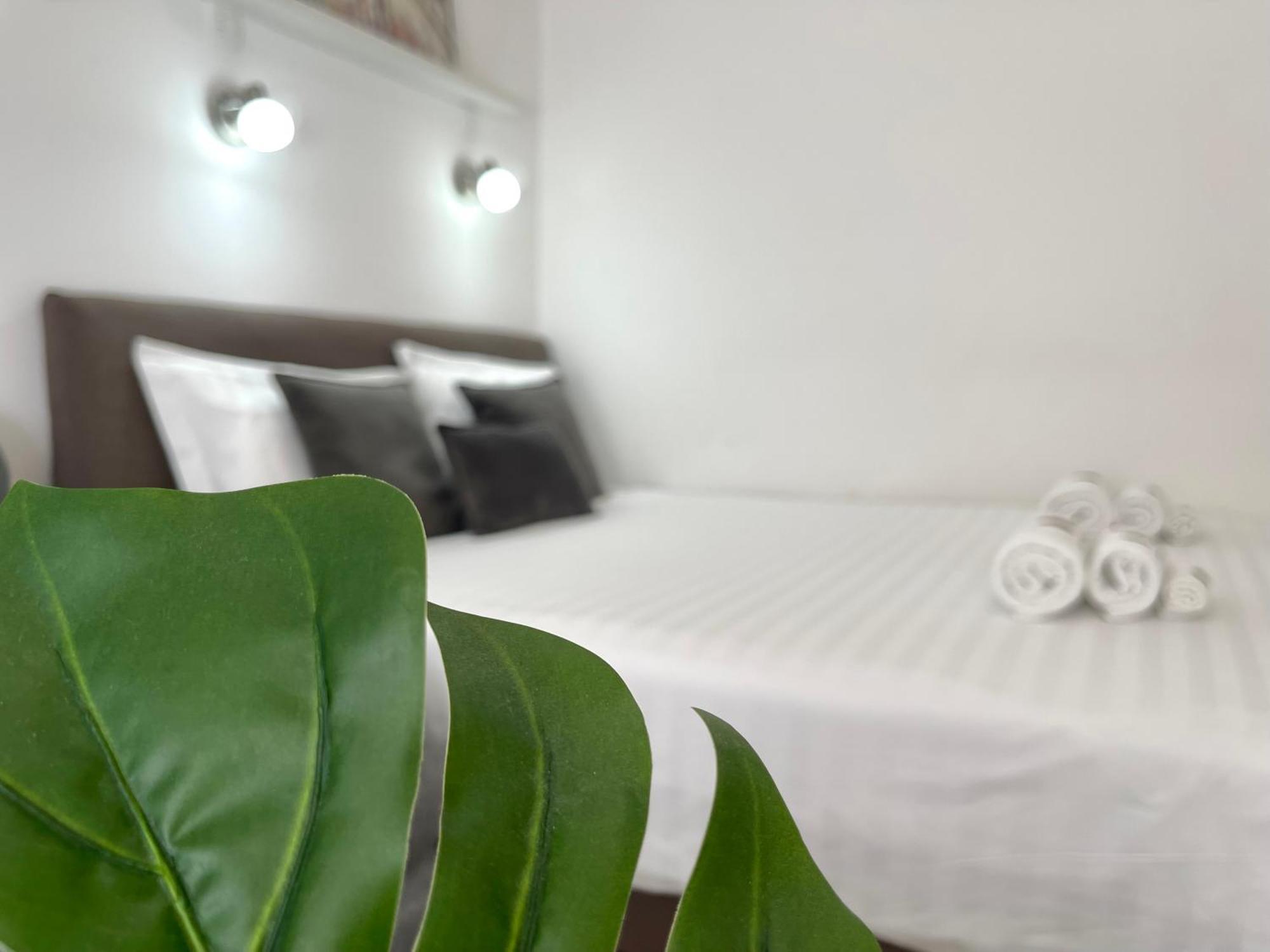 Pribilovic Apartman Budva